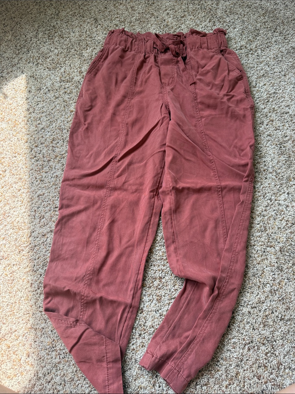 Target Men's Drawstring Joggers in Rust